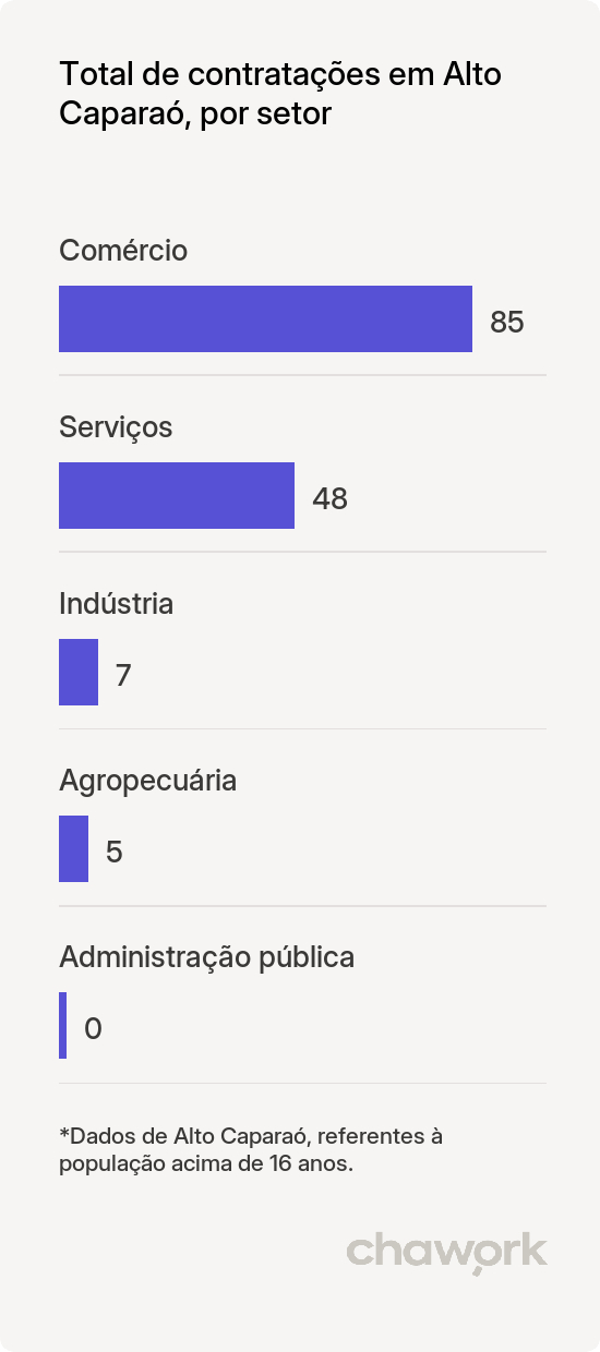 Total de contratações por setor em Alto Caparaó, MG