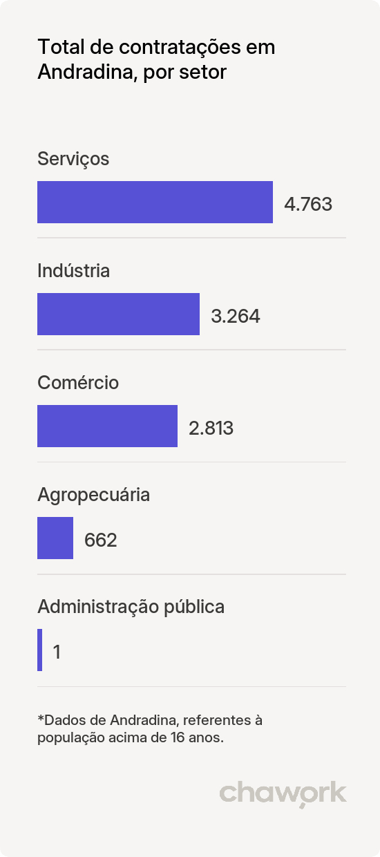 Total de contratações por setor em Andradina, SP