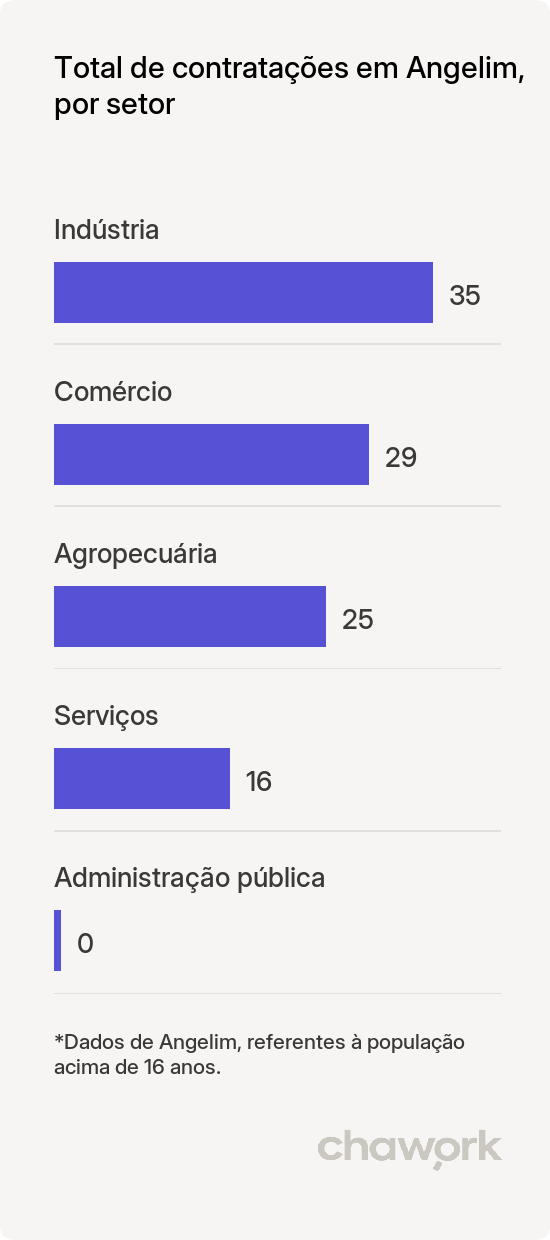 Total de contratações por setor em Angelim, PE