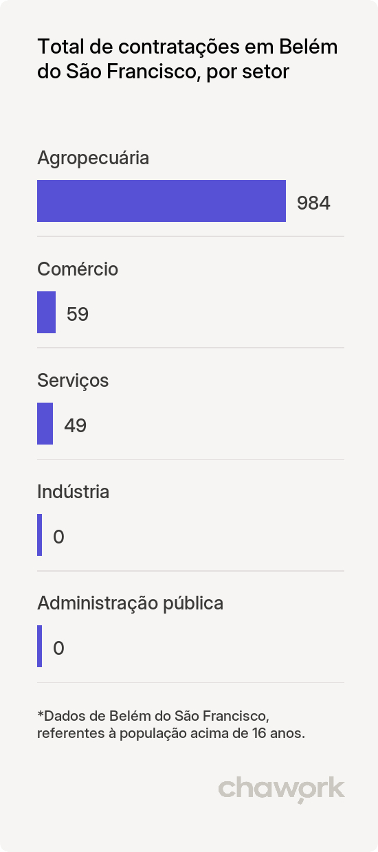Total de contratações por setor em Belém do São Francisco, PE
