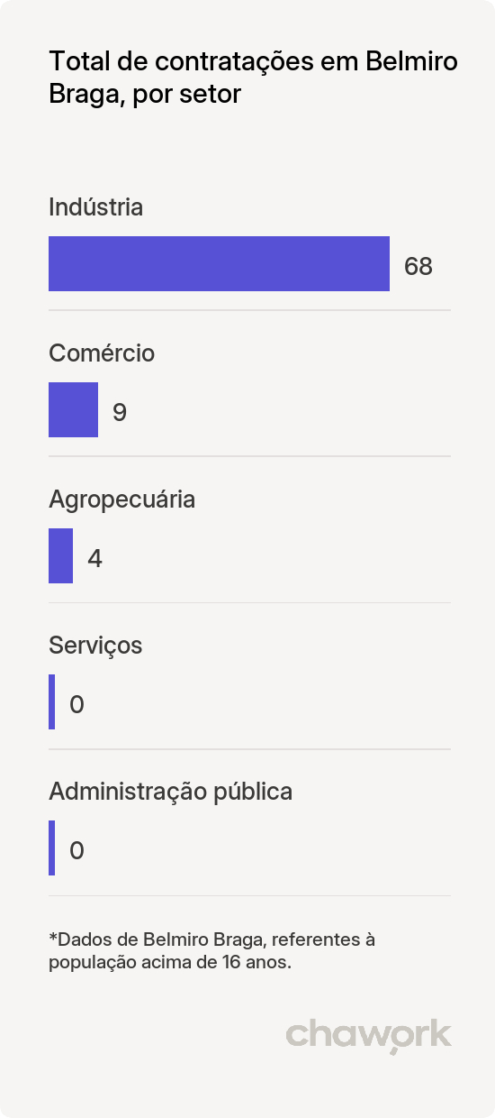Total de contratações por setor em Belmiro Braga, MG