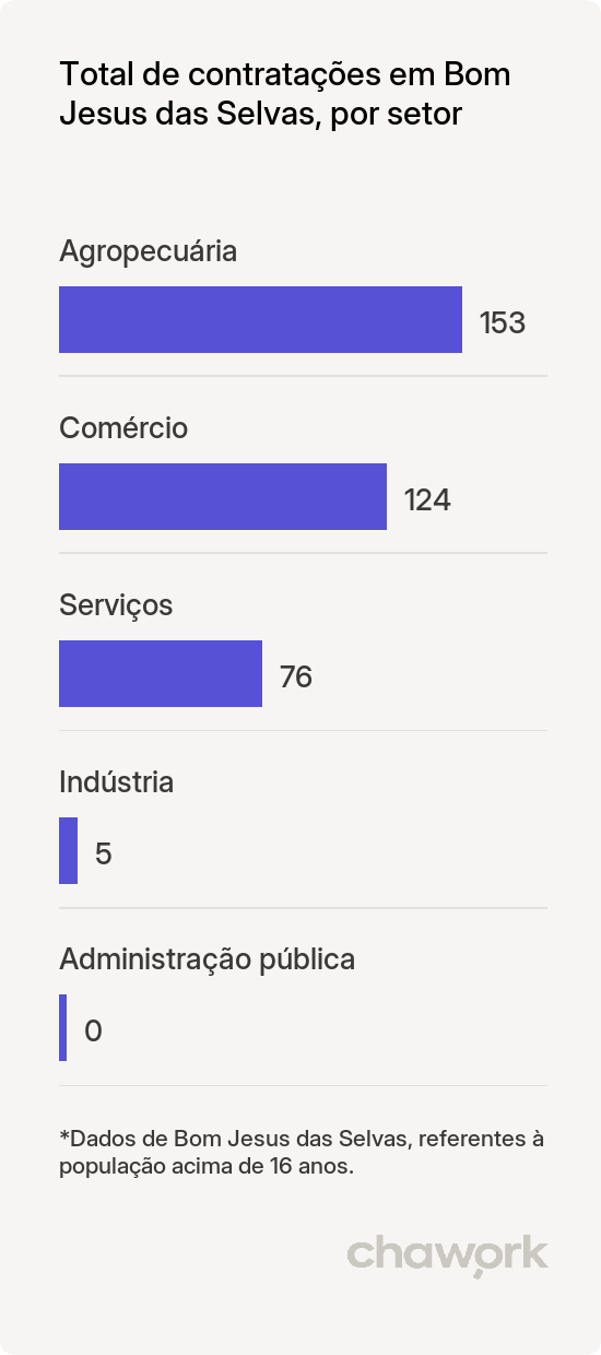 Total de contratações por setor em Bom Jesus das Selvas, MA