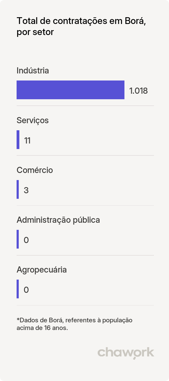 Total de contratações por setor em Borá, SP