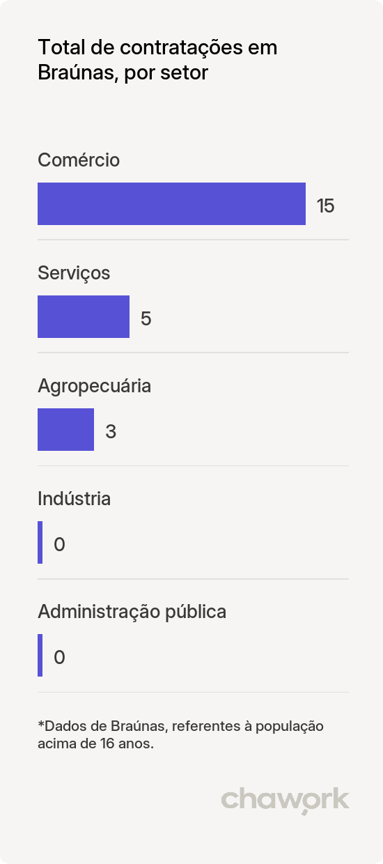 Total de contratações por setor em Braúnas, MG