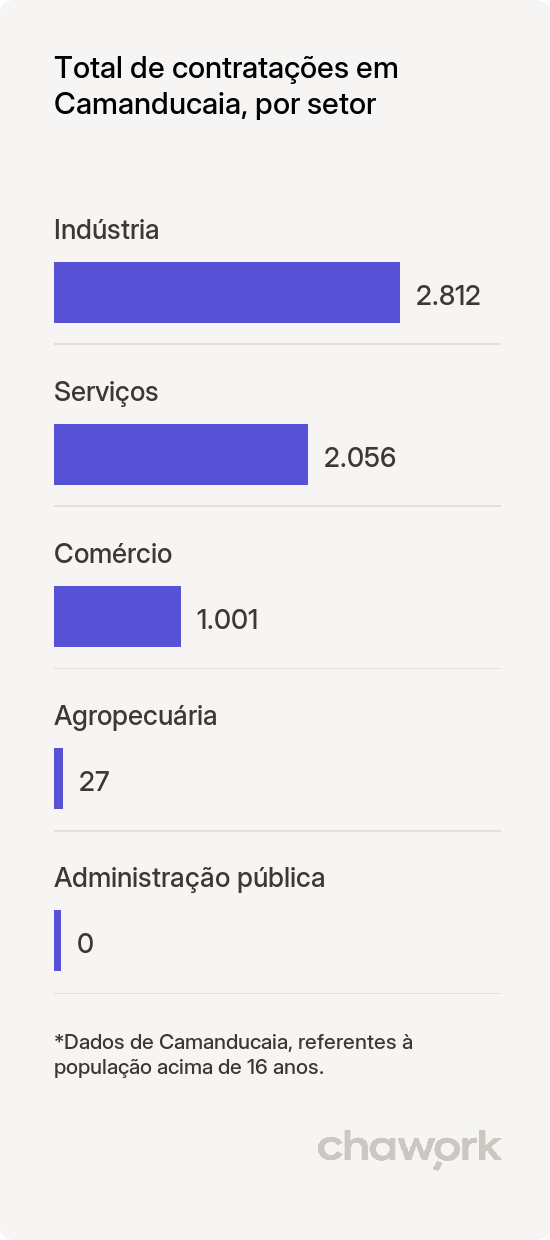 Total de contratações por setor em Camanducaia, MG