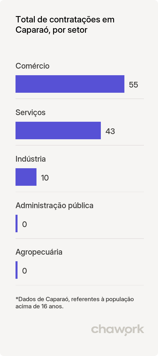 Total de contratações por setor em Caparaó, MG
