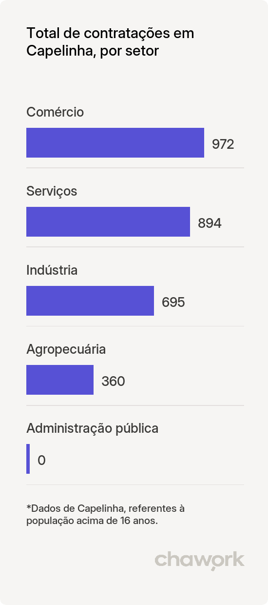 Total de contratações por setor em Capelinha, MG