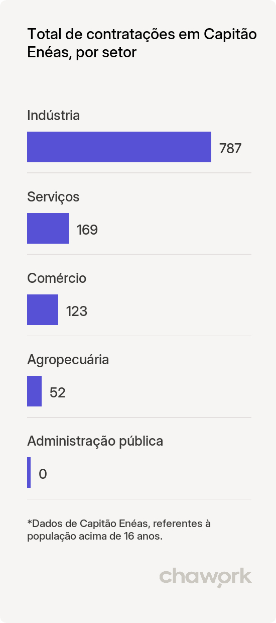 Total de contratações por setor em Capitão Enéas, MG
