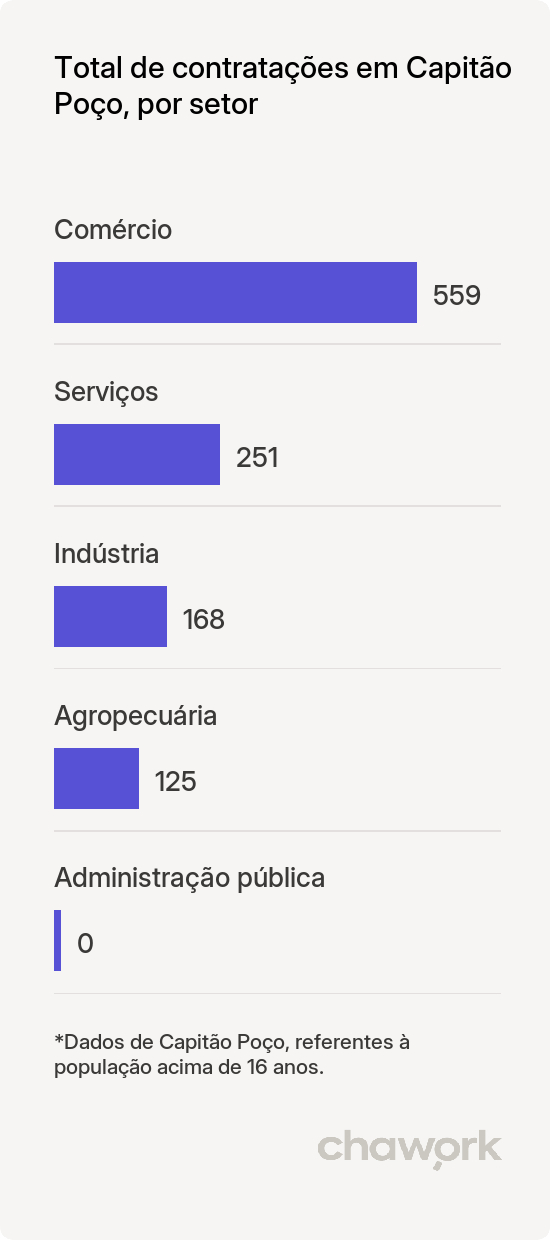 Total de contratações por setor em Capitão Poço, PA