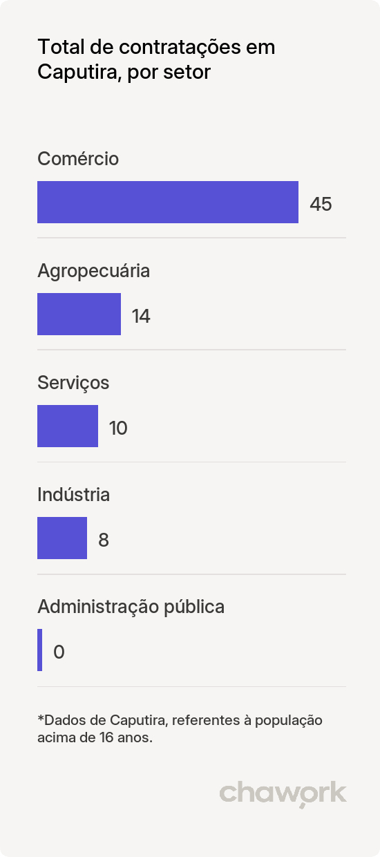 Total de contratações por setor em Caputira, MG