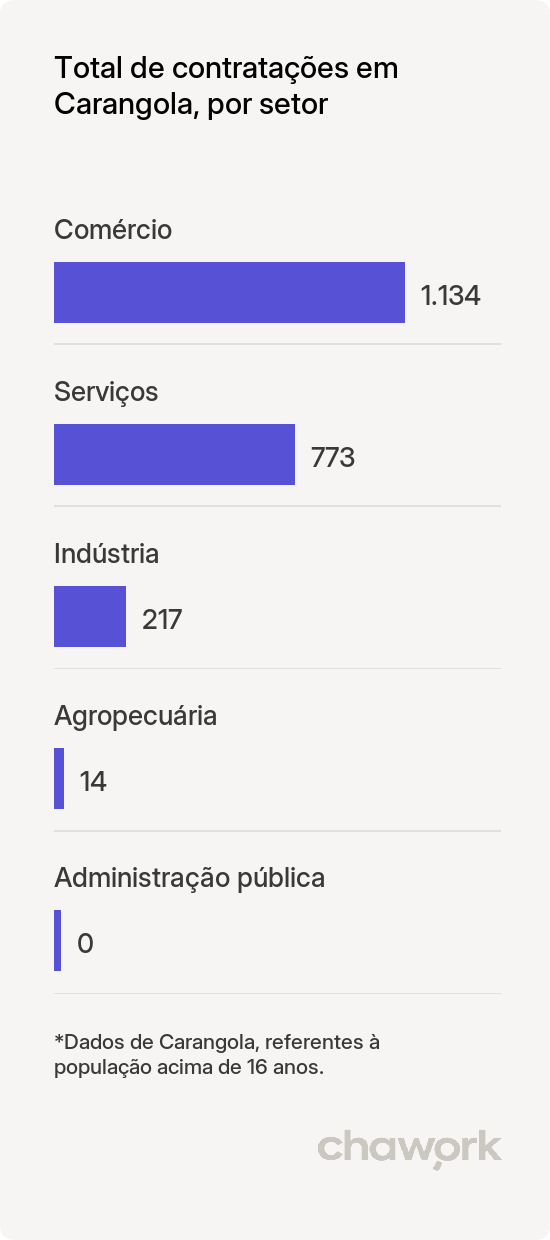 Total de contratações por setor em Carangola, MG