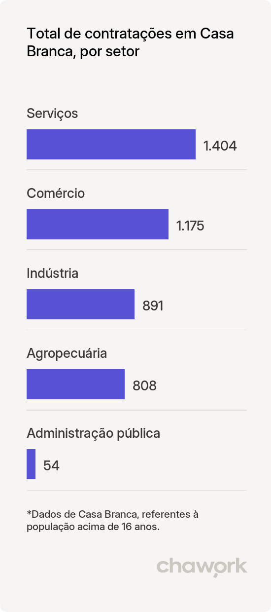 Total de contratações por setor em Casa Branca, SP