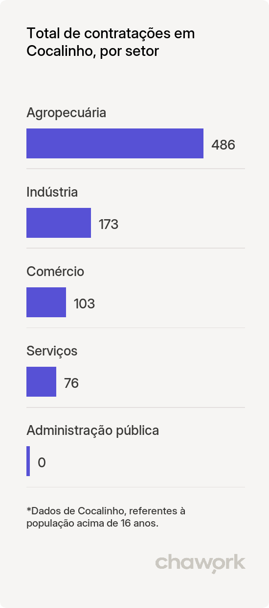 Total de contratações por setor em Cocalinho, MT