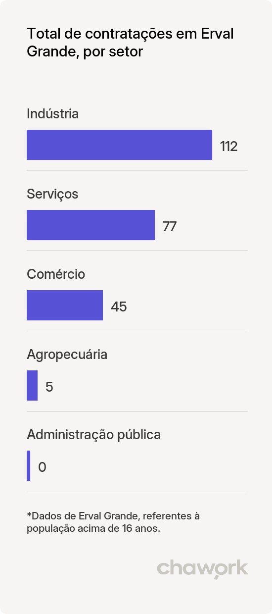 Total de contratações por setor em Erval Grande, RS