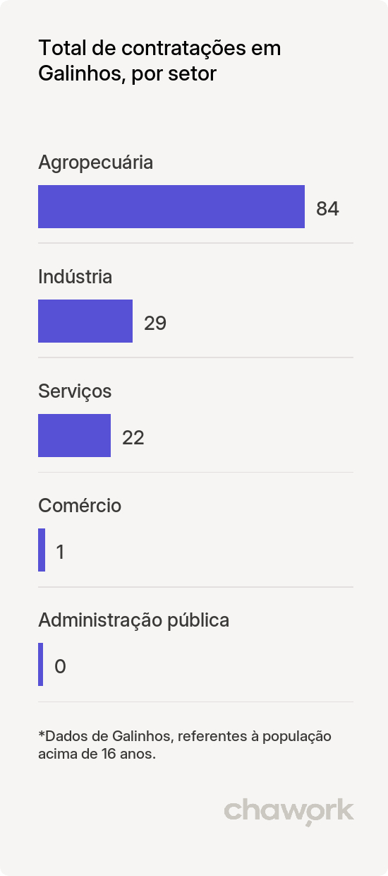Total de contratações por setor em Galinhos, RN