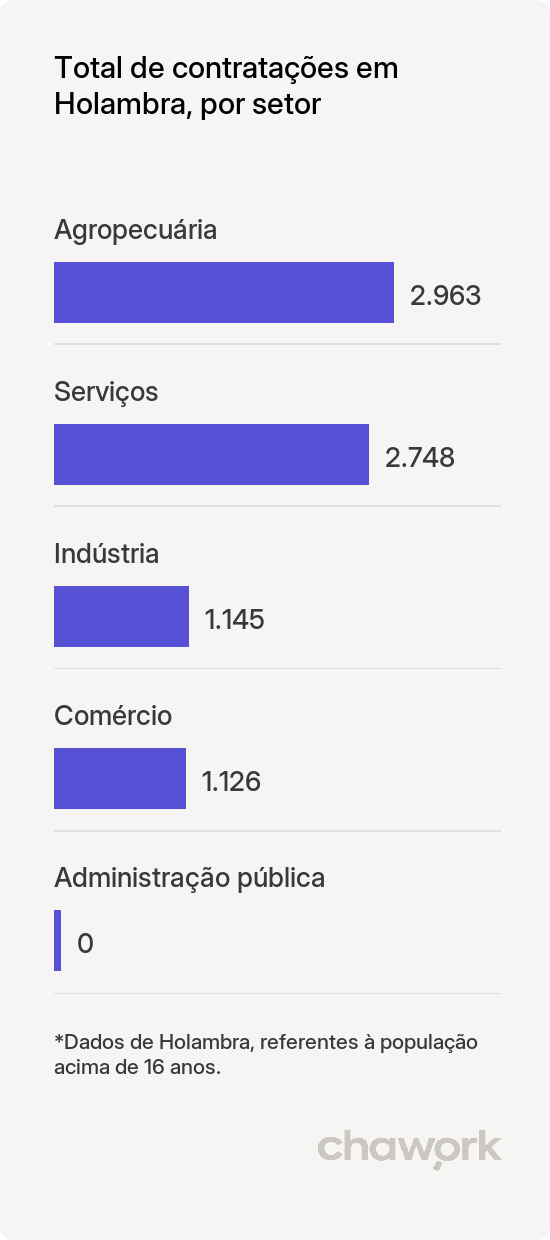 Total de contratações por setor em Holambra, SP