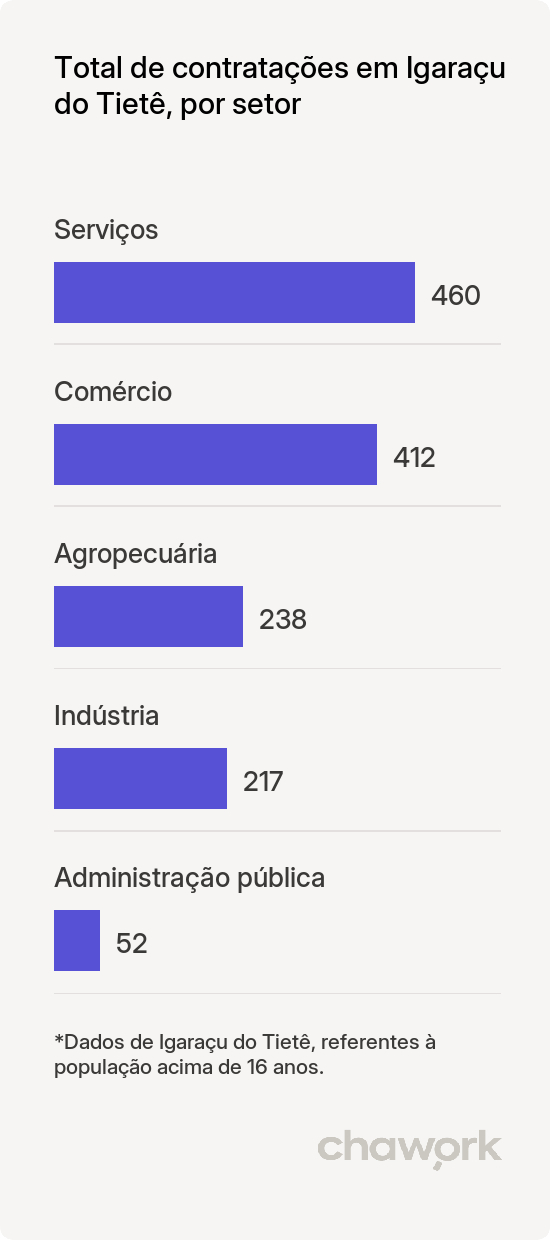 Total de contratações por setor em Igaraçu do Tietê, SP