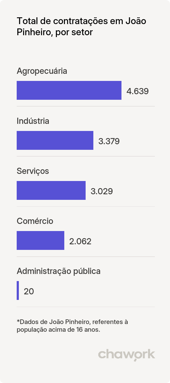 Total de contratações por setor em João Pinheiro, MG