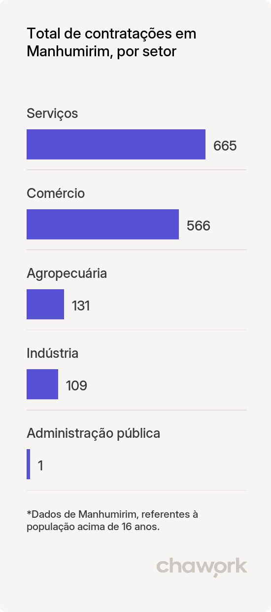 Total de contratações por setor em Manhumirim, MG