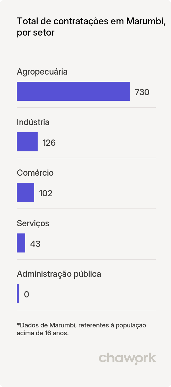 Total de contratações por setor em Marumbi, PR
