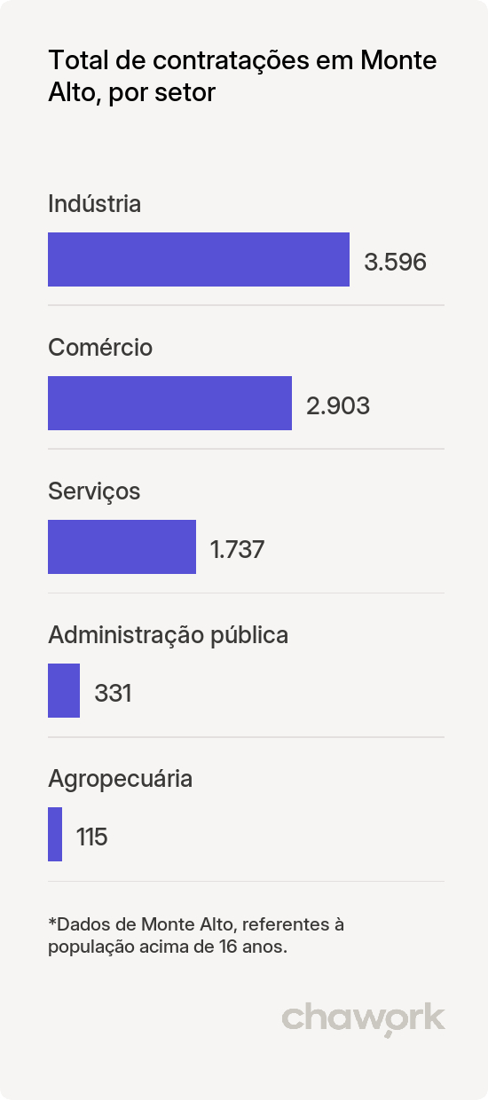 Total de contratações por setor em Monte Alto, SP