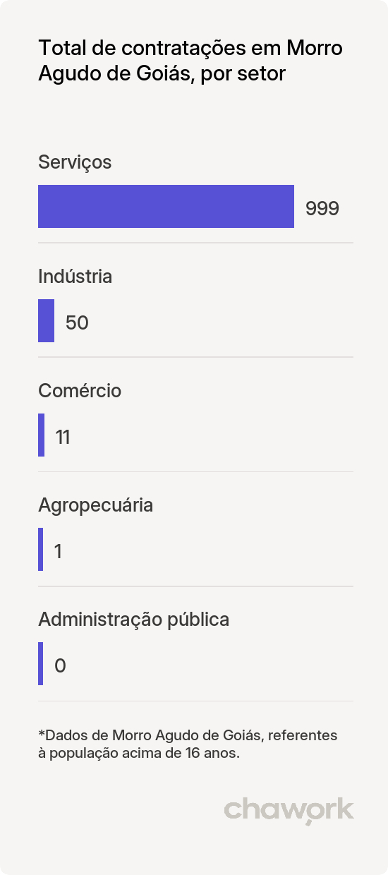 Total de contratações por setor em Morro Agudo de Goiás, GO