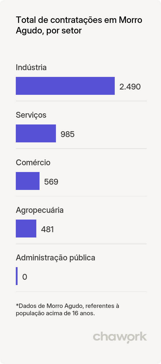 Total de contratações por setor em Morro Agudo, SP