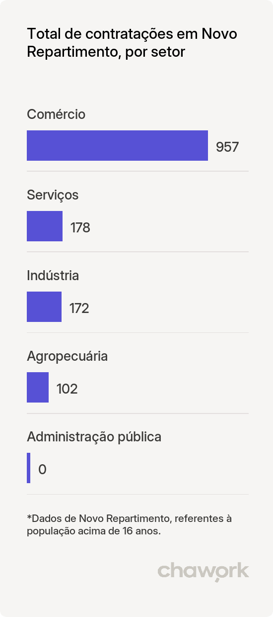 Total de contratações por setor em Novo Repartimento, PA