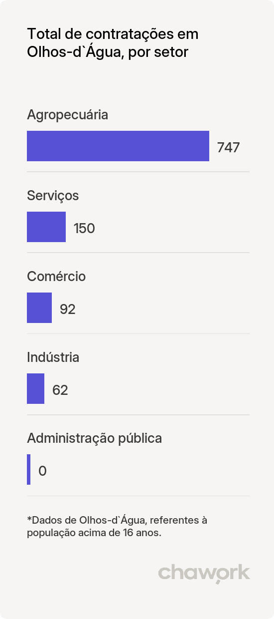 Total de contratações por setor em Olhos-d`Água, MG