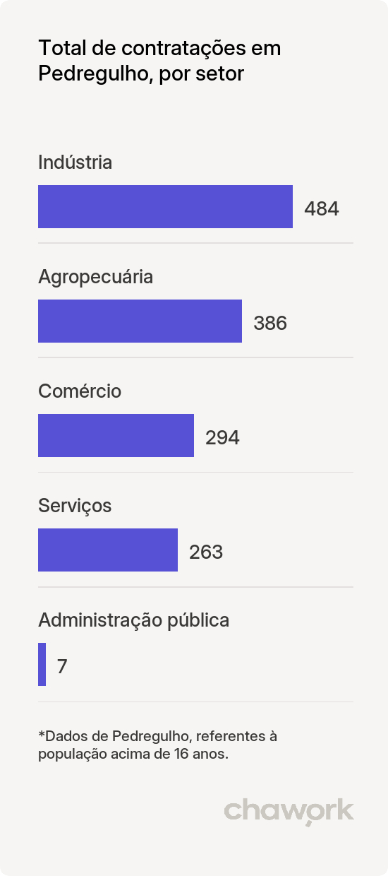 Total de contratações por setor em Pedregulho, SP