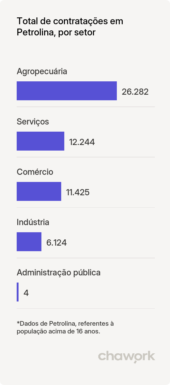Total de contratações por setor em Petrolina, PE