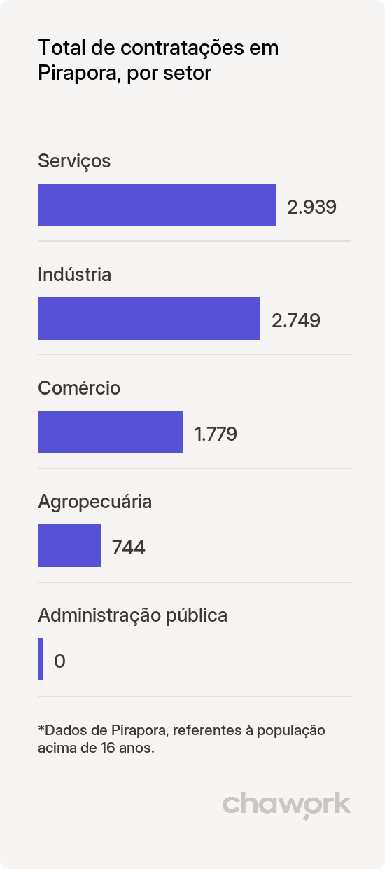 Total de contratações por setor em Pirapora, MG