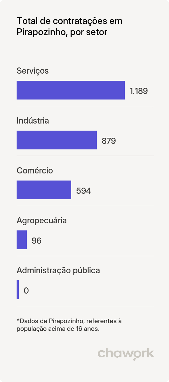 Total de contratações por setor em Pirapozinho, SP