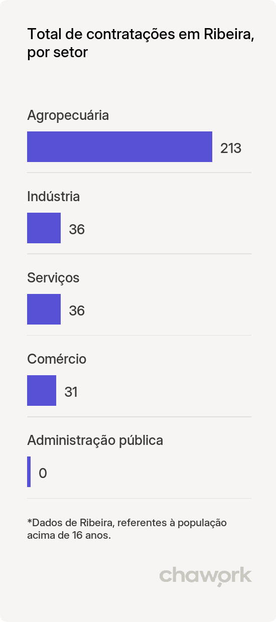 Total de contratações por setor em Ribeira, SP