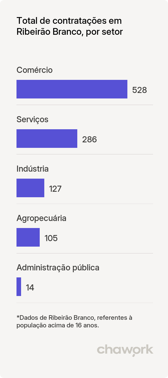 Total de contratações por setor em Ribeirão Branco, SP