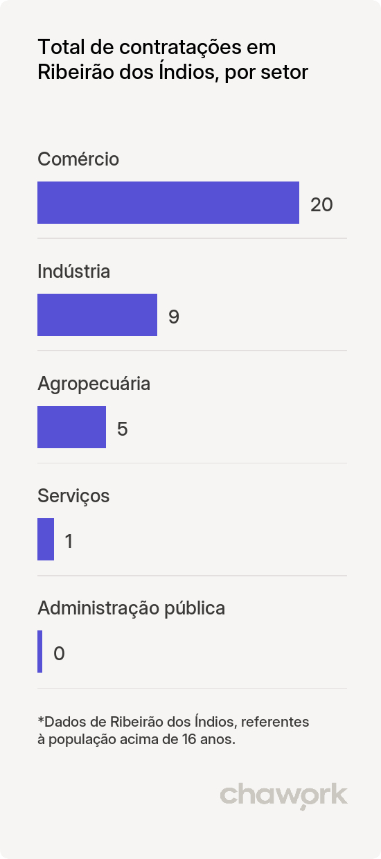 Total de contratações por setor em Ribeirão dos Índios, SP
