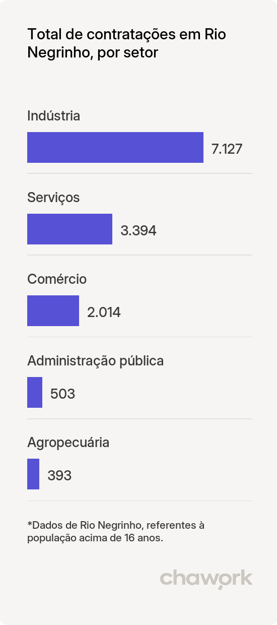 Total de contratações por setor em Rio Negrinho, SC