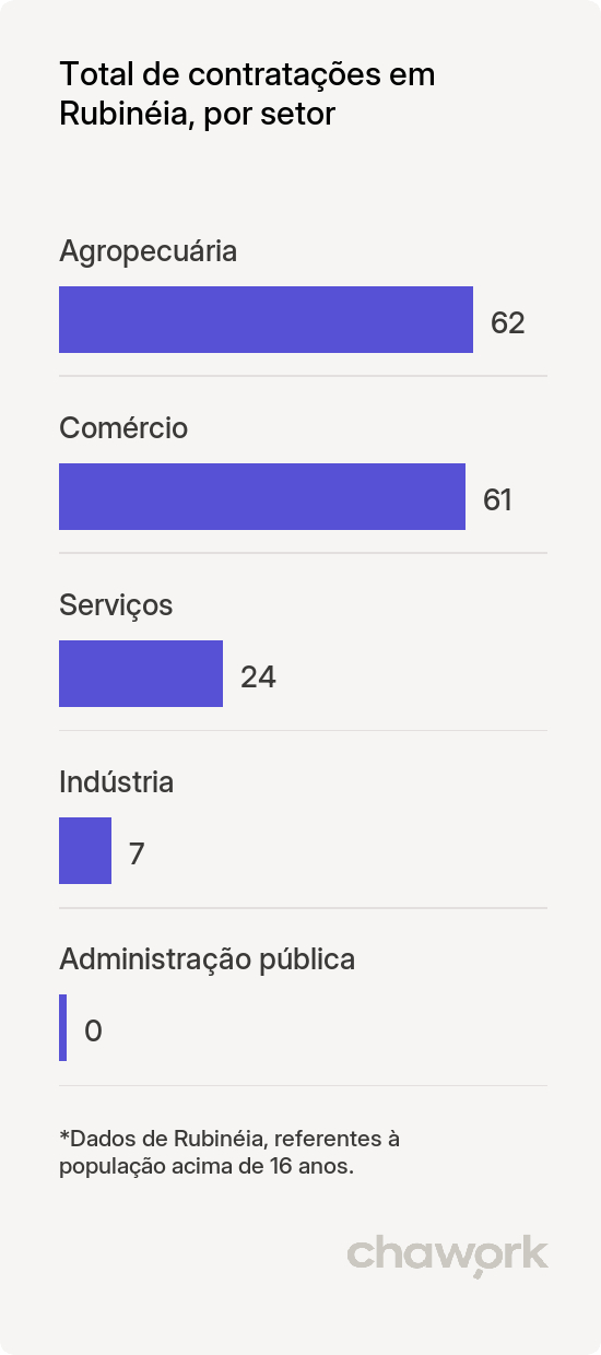 Total de contratações por setor em Rubinéia, SP