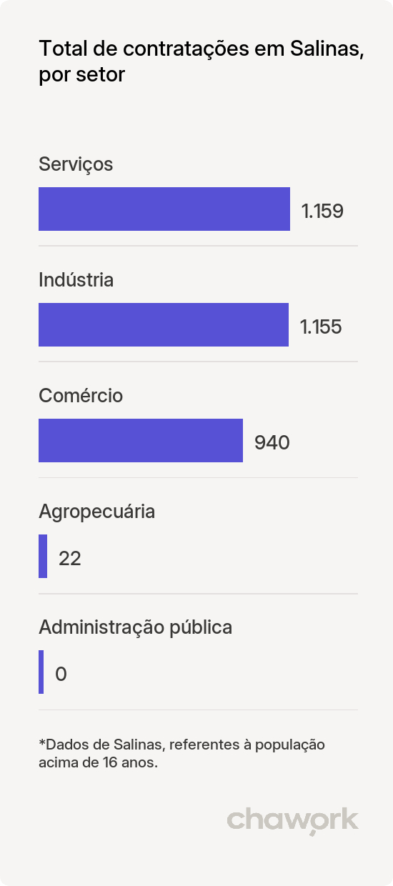 Total de contratações por setor em Salinas, MG