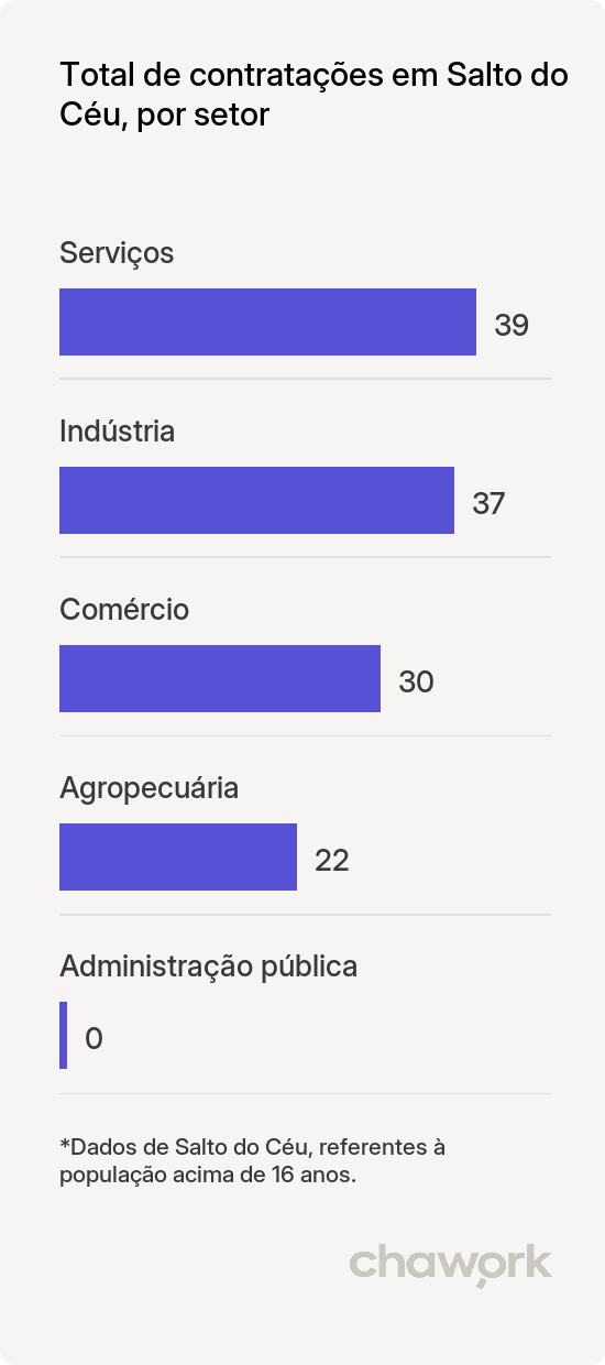 Total de contratações por setor em Salto do Céu, MT