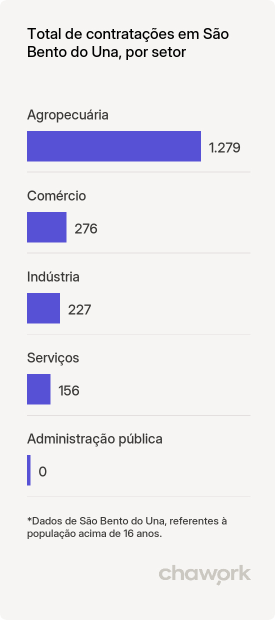 Total de contratações por setor em São Bento do Una, PE