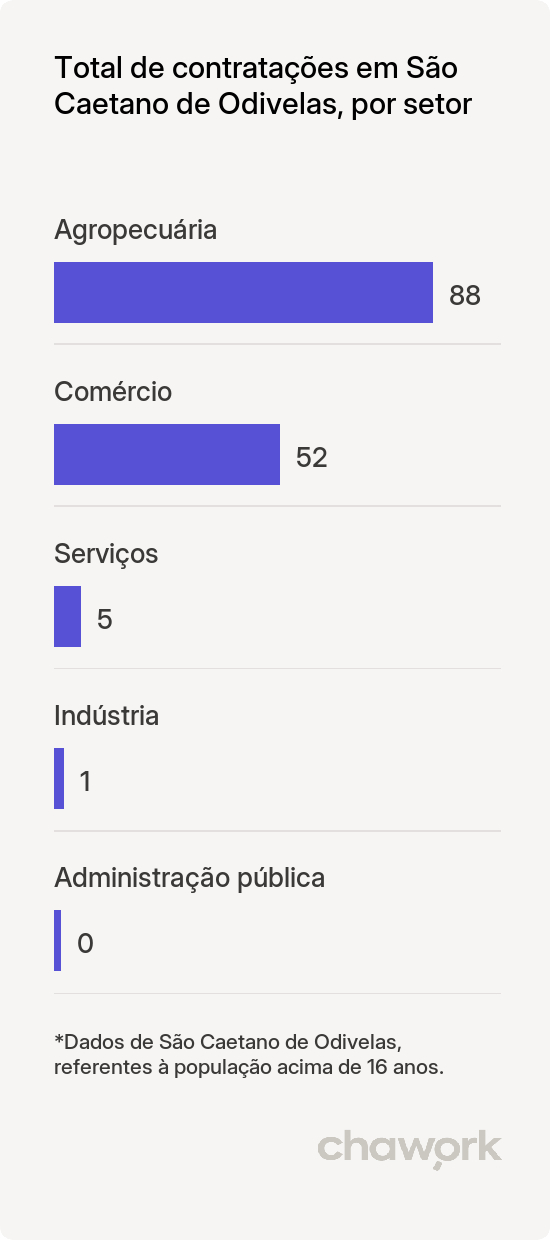 Total de contratações por setor em São Caetano de Odivelas, PA
