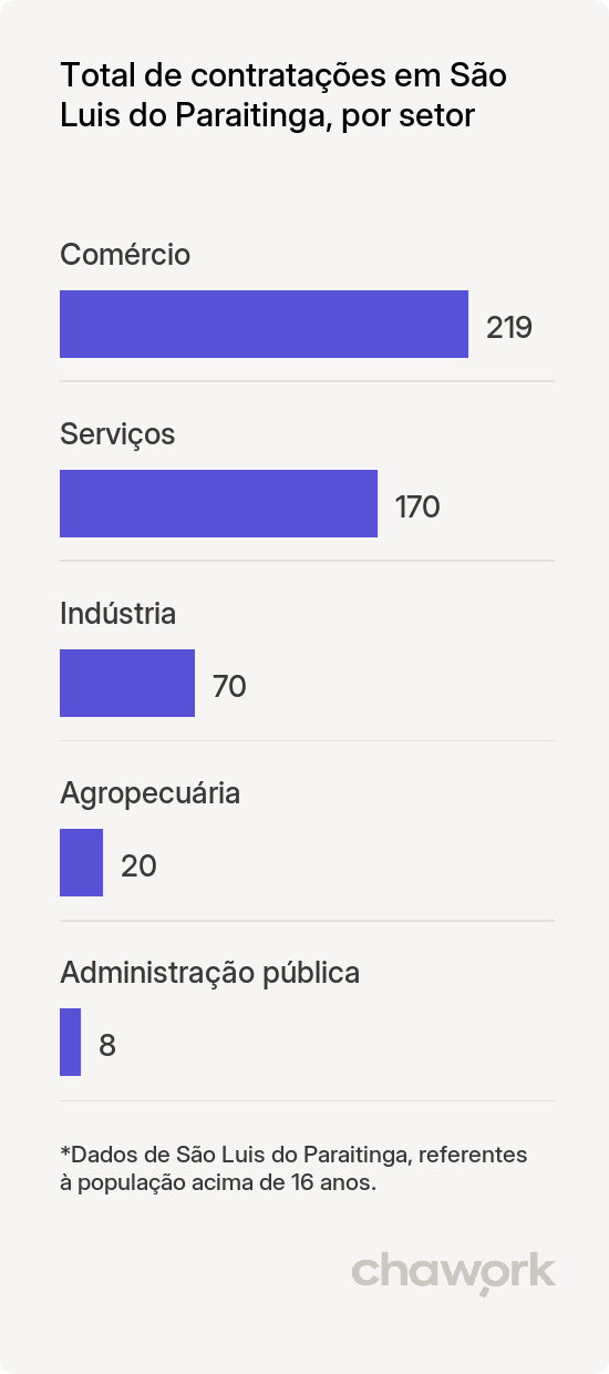 Total de contratações por setor em São Luis do Paraitinga, SP