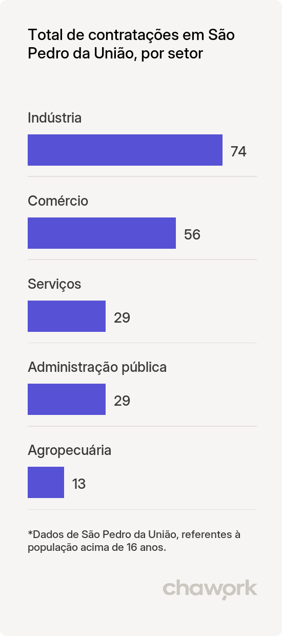 Total de contratações por setor em São Pedro da União, MG