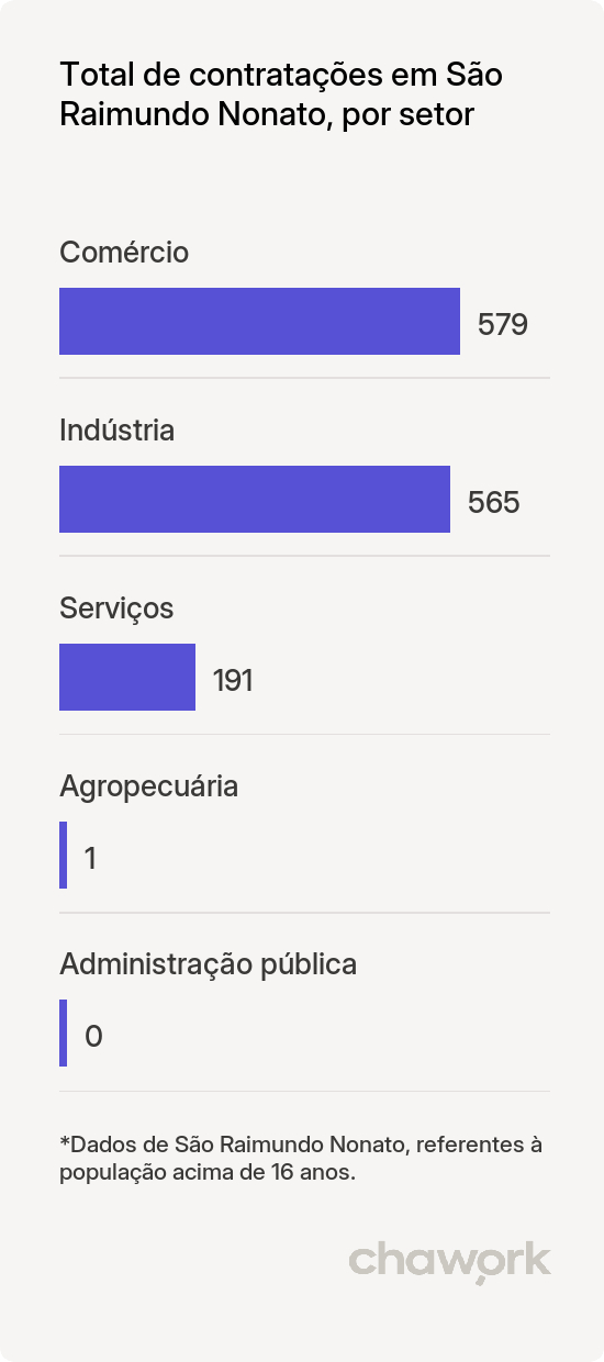 Total de contratações por setor em São Raimundo Nonato, PI