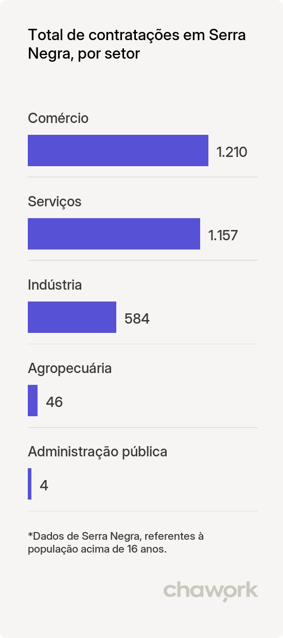 Total de contratações por setor em Serra Negra, SP