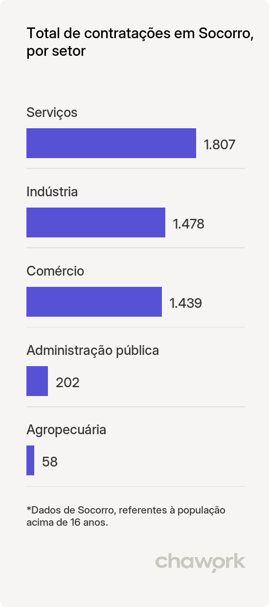 Total de contratações por setor em Socorro, SP