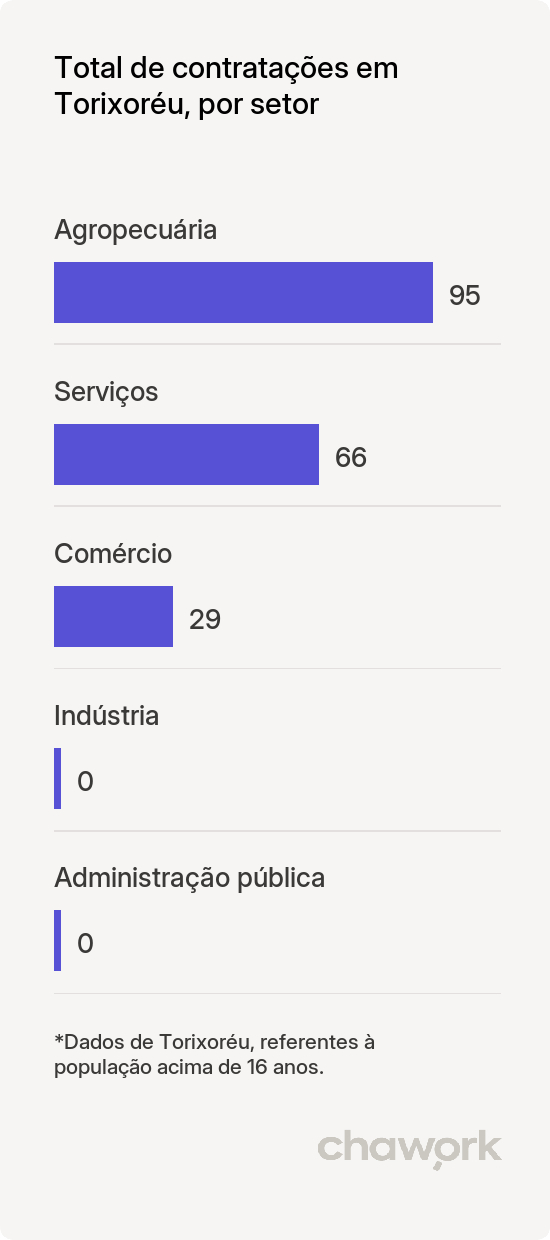 Total de contratações por setor em Torixoréu, MT
