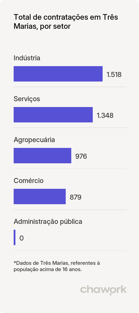 Total de contratações por setor em Três Marias, MG