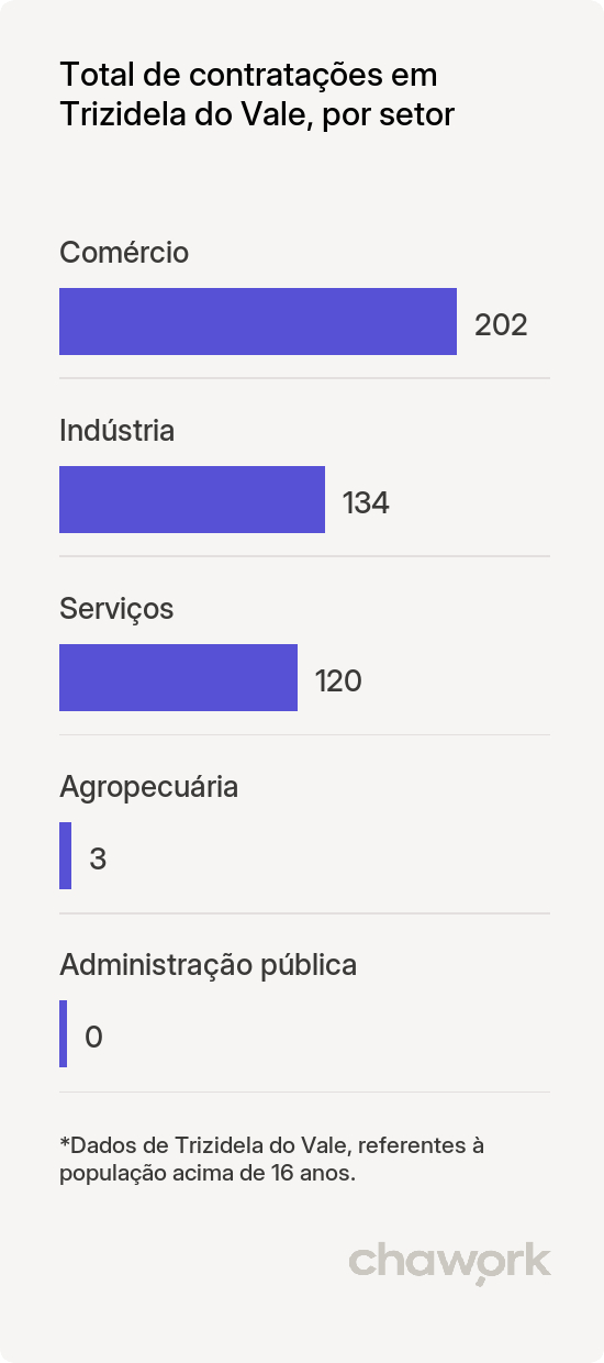 Total de contratações por setor em Trizidela do Vale, MA